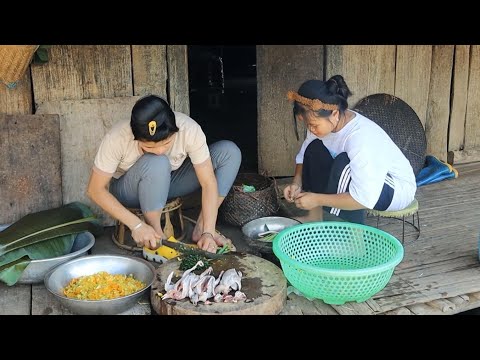 Bồ Câu Pho Hoa Bí | Sinh Nhật Bố