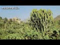 جمال الطبيعة اليمنية وادي بناء مع نادر الجرادي وادي بناء ماكنت لي بخاطر