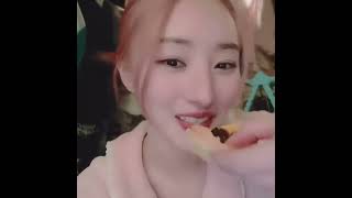 Dreamcatcher Handong Sneeze