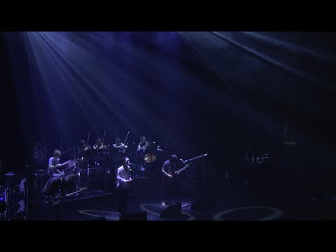 THE BACK HORN - 美しい名前【Live Video】（2015.4.30＠渋谷公会堂）