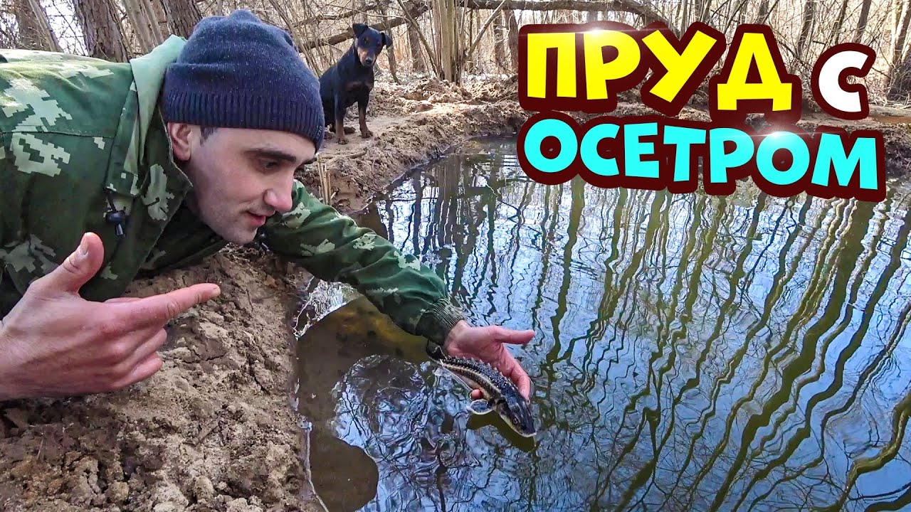 Окультурил лесной пруд с осетром! Сделал водяное колесо! Жарю колбаски