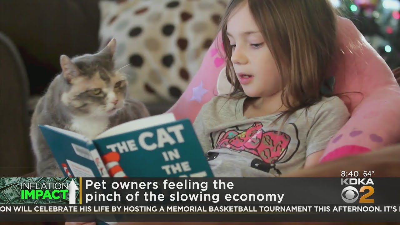 Pets feeling the inflation pinch