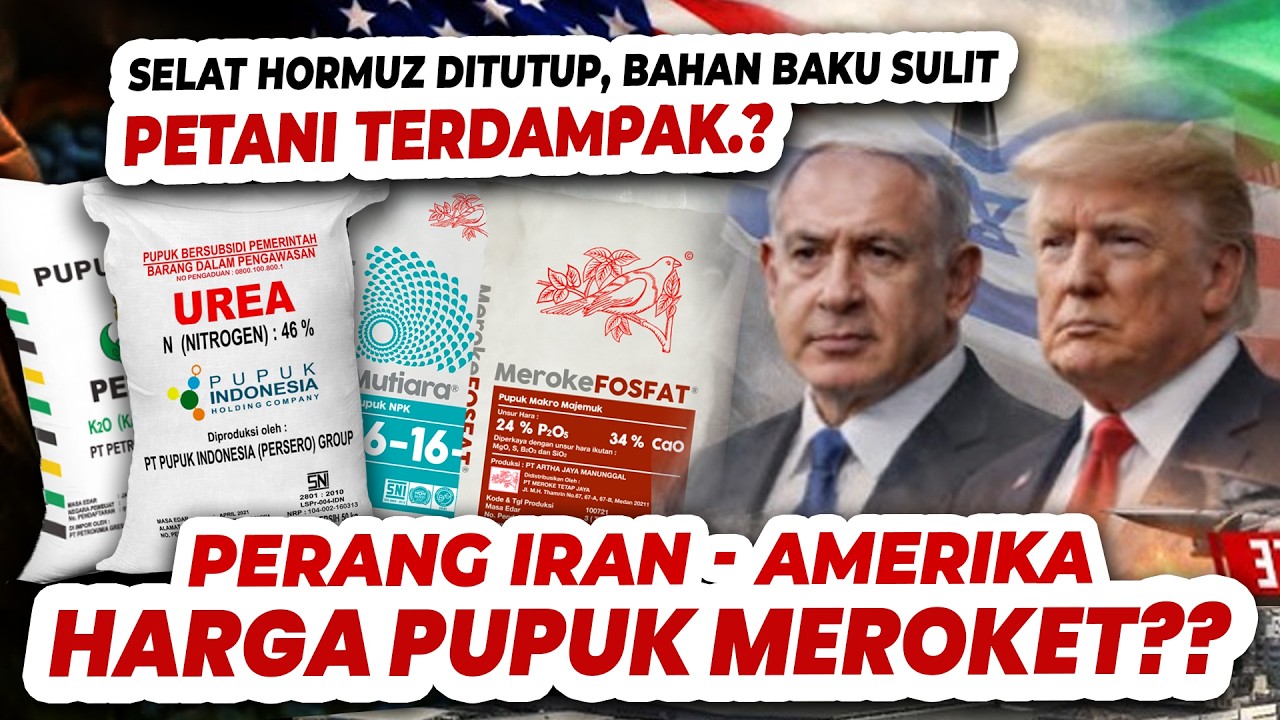 DUNIA PANIK, HARGA MEROKET.❓❓❓ BAHAS KEBUTUHAN ENERGI PEMBUATAN PUPUK & PESTISIDA | Iran Vs Amerika