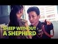 Sheep without a shepherd  official trailer