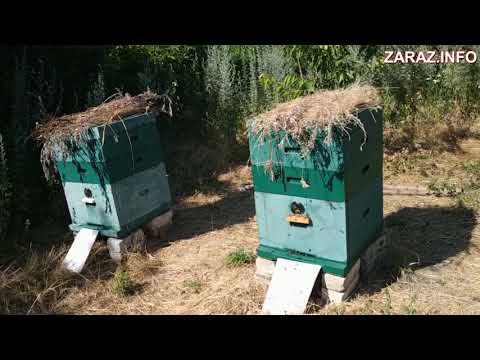 В Лисичанську волонтери створили реабілітаційний центр