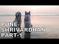 Beach trip with the dogs | Shrivardhan Beach trip