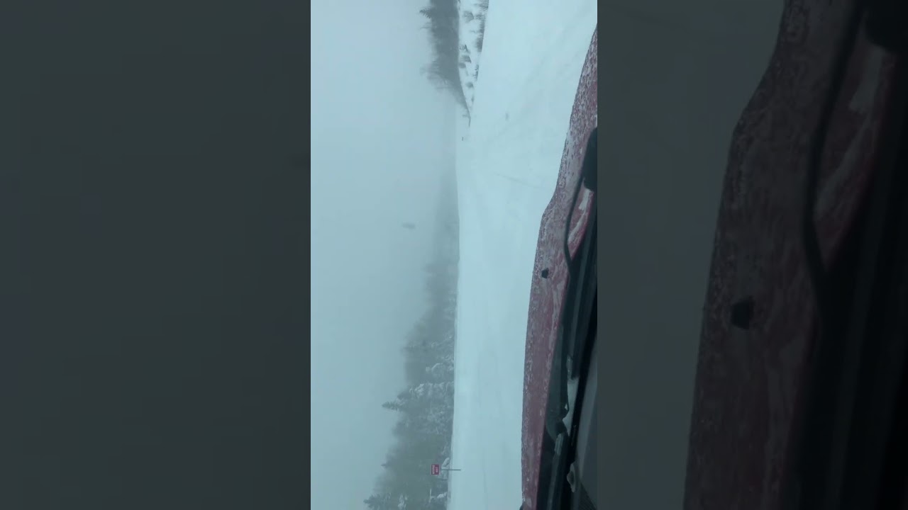 Snow Storm 2024 Cape Breton, Nova Scotia