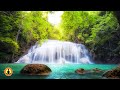 🔴 Relaxing Zen Music 24/7, Stress Relief Music, Sleep Music, Meditation Music, Study, Nature Sounds