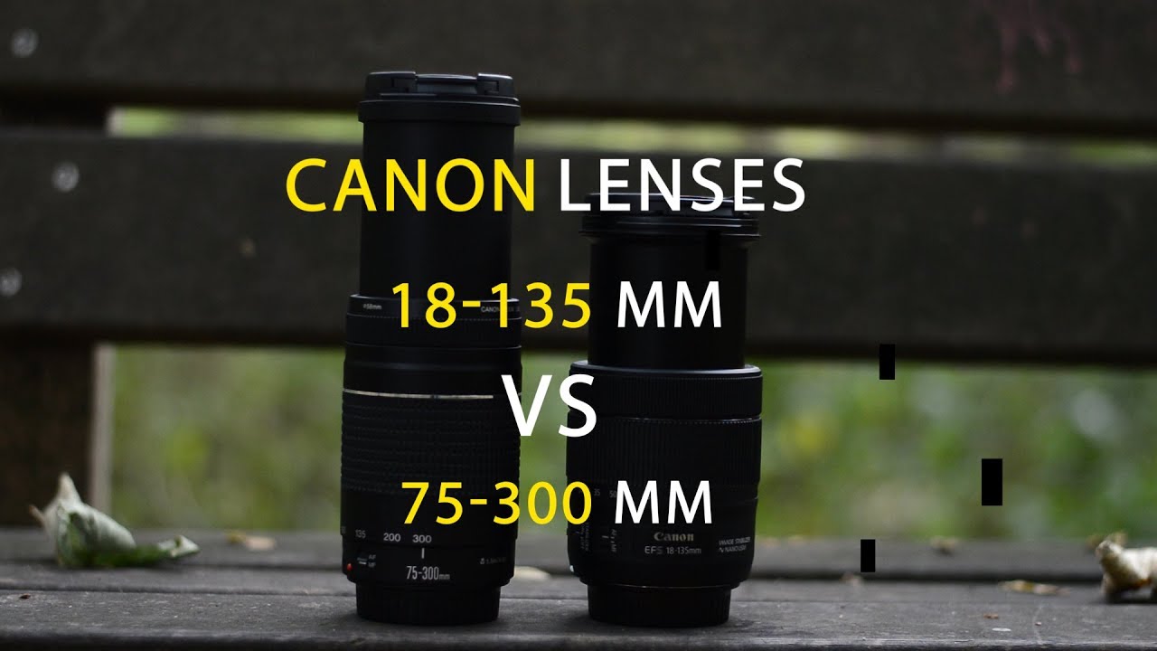 Canon Lens 18 135 Vs 75 300 Mm Compare Canon 80d Youtube