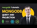 MongoDB Find Query & Projection Explained | deleteOne, deleteMany, updateOne, updateMany in Hindi