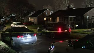 Teen in custody after 3-year-old brother uses his gun to shoot himself in Detroit home