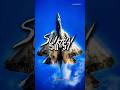 Sukhoi Su-57 | Felon | Russian Fighter Jet | Aircraft | Firebird | 5th Generation Aircraft | 📌🥶😎