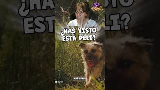 Una película de perros que promete muchas risas: Vida Perra (Stray)😃🐕