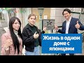 Жизнь в одном доме с японцами