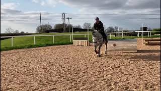 Ad ref 250964 Video 2
