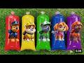Paw Patrol Rescue | Ryder, Rubble, Chase, Skye,Rocky, Zuma, Marshall, Everest, Tracker
