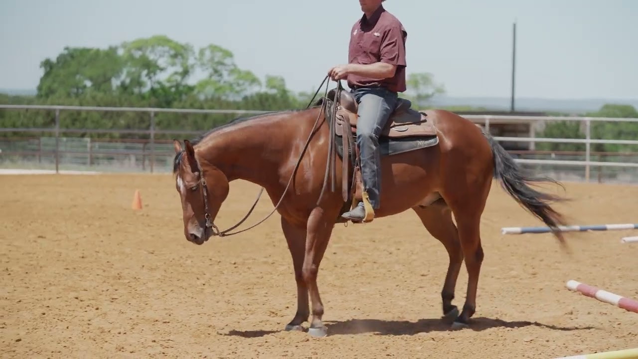 Improving your scores on your lope, trot, lope and your line of travel