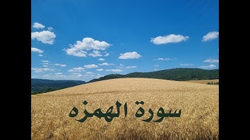 سورة الهُمَزة هي سورة مكية، من المفصل، آياتها 9، وترتيبها في المصحف 104، في الجزء الثلاثين،