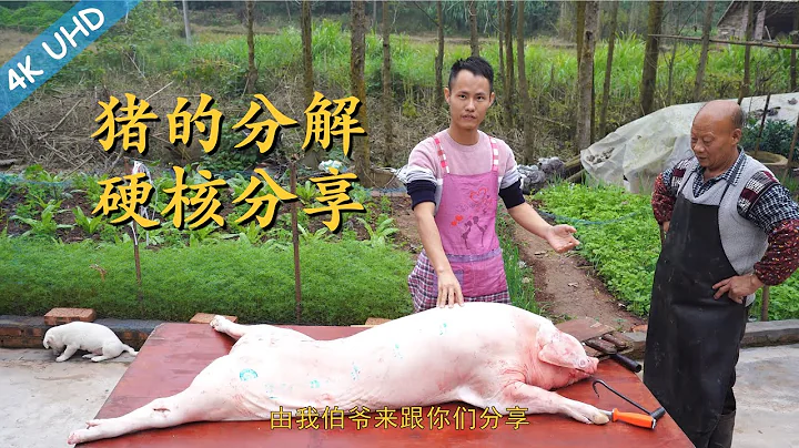 Chef Wang and his butcher uncle teaches u: How to butcher a whole pig, and each pork cut explained - 天天要闻