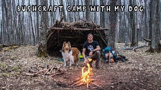Overnight Bushcraft Camp with My Dog  Shelter from The Rain