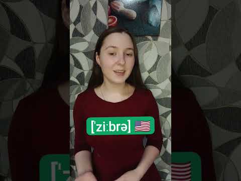 Как правильно произносить слово "zebra" на английском языке #english #английский  #englishteacher