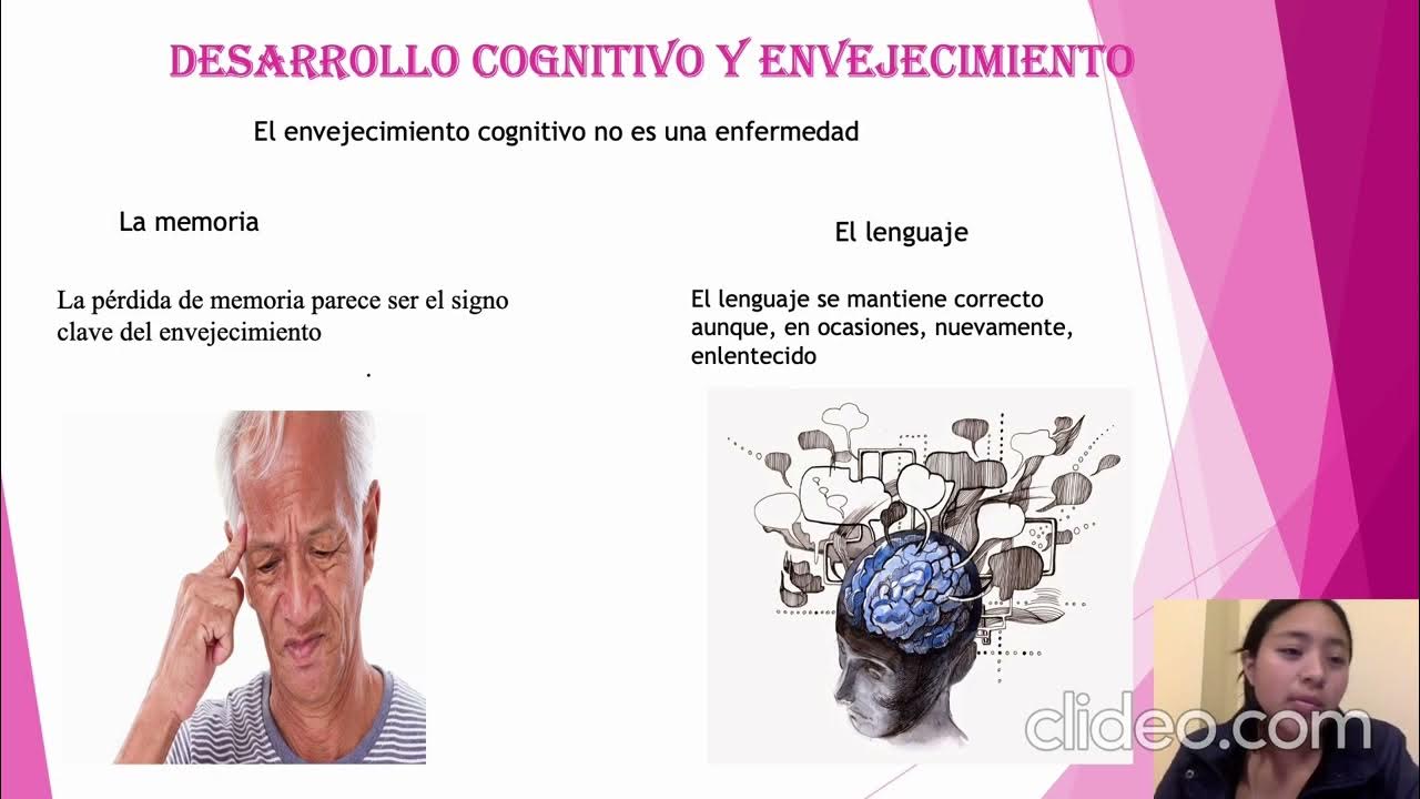 DESARROLLO COGNITIVO ADULTO MAYOR - YouTube