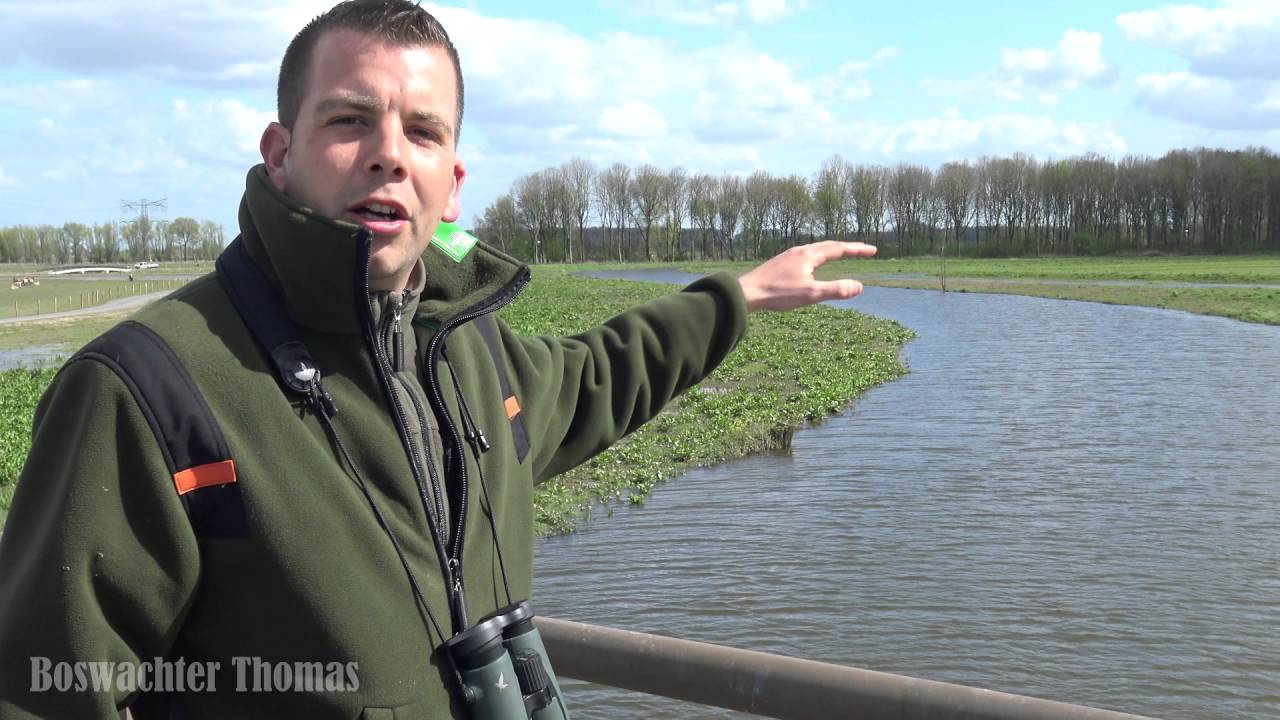 VLOG #6 Eindelijk een broedende visarend in Nederland!