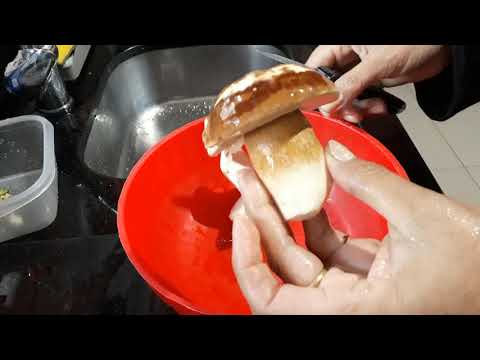 Vídeo: O Que Cozinhar Com Cogumelos Porcini Congelados