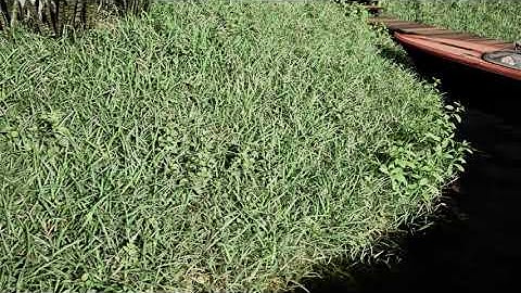 Realistic Grass - Unreal 5 - Lumen - GTX 1060