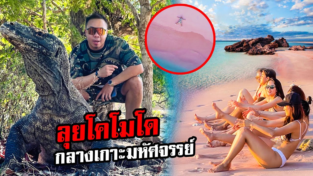ลุยโคโมโด!!! มังกรที่ยังมีชีวิตอยู่กลางเกาะมหัศจรรย์!!