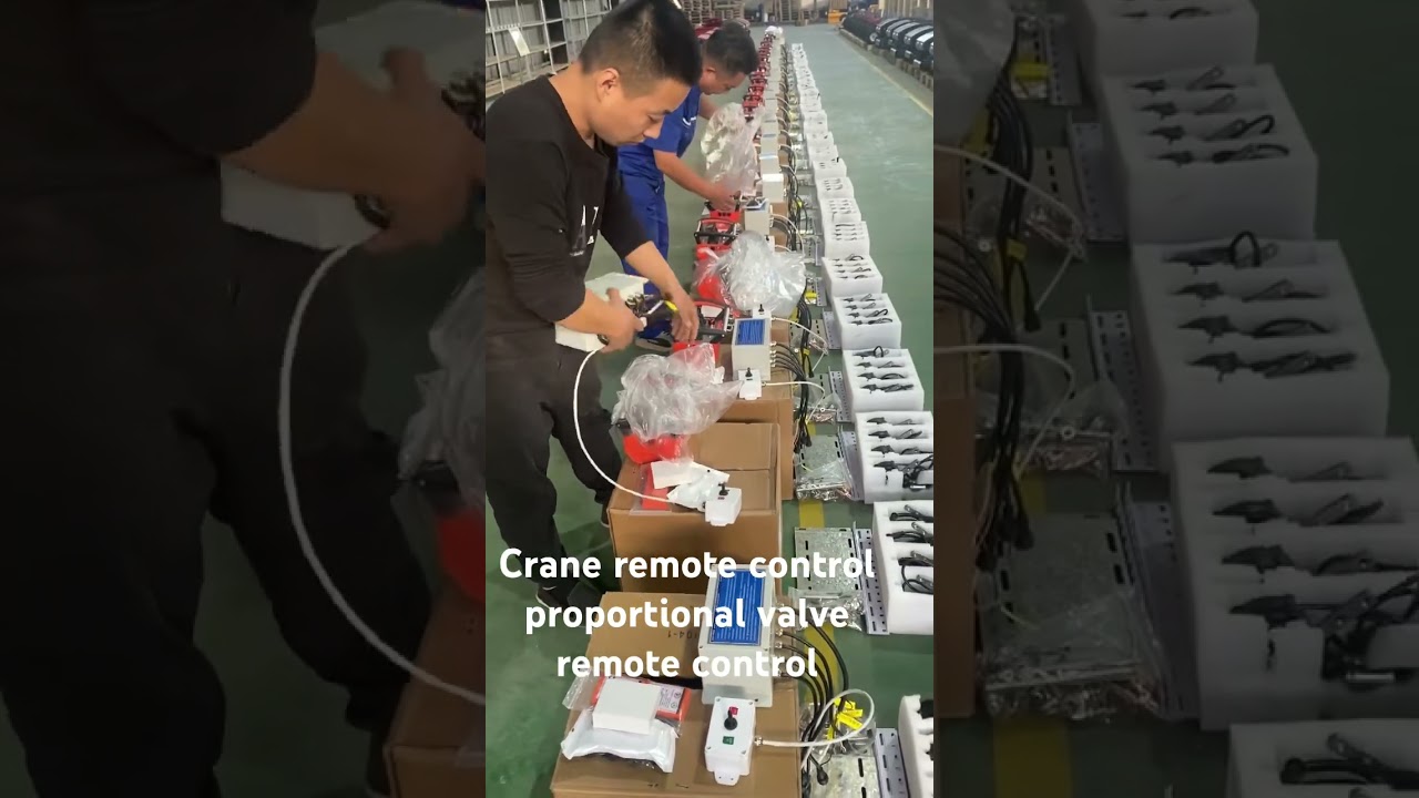 Remote controller of wireless proportional valve for crane,