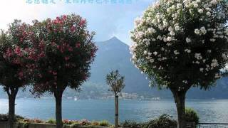 向萬物學習 讀20年書不如讀懂這些話