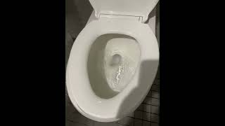 Longest toilet flush