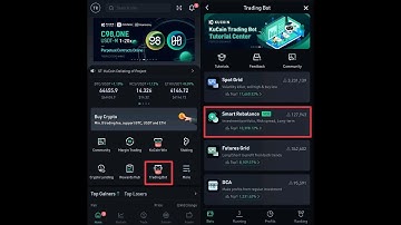 Portfolio rebalancing bot (make profit while holding )