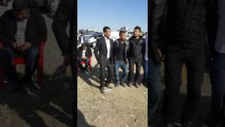 Abu çınar dıbıs halava