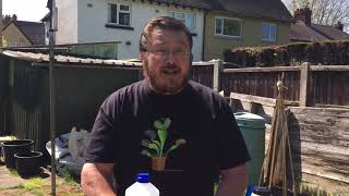 The lockdown allotment challenge, Episode 18; Managing weeds, pests and diseases sustainably