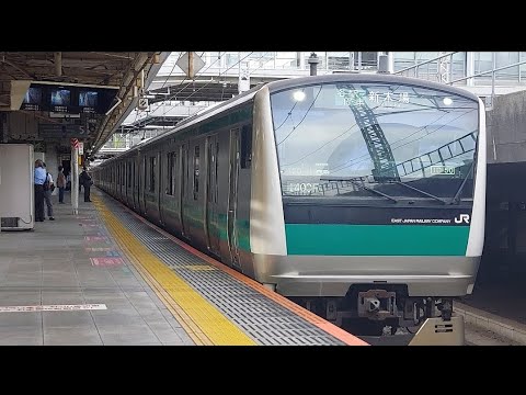 埼京線E233系ハエ120編成各駅停車新木場駅行き大崎駅発車
