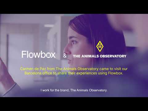 Flowbox Case Study: The Animals Observatory