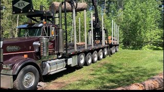 Kenworth W900 loading huge pine logs