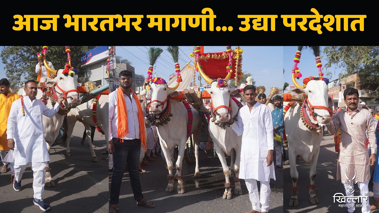 राज्याबाहेर खिल्लार नेणारा पहिला शेतकरी! विकास जगताप यांची डेरिंग - भाग 3 | Khillar 2026