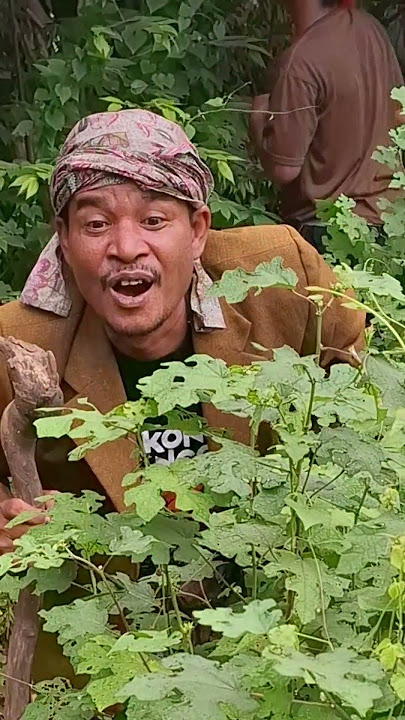 mau ketawa takut dosa video lucu bkin ngakak hiburan warga 62 funny videos