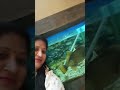 andaman tour