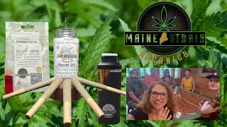 Maine Strain - Vendor Sampling