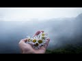 59 Minutes Healing Meditation Music, Relaxing Music, Calming Music, Peaceful Music - become one