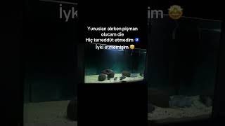Beğeni can dostlar ❤️