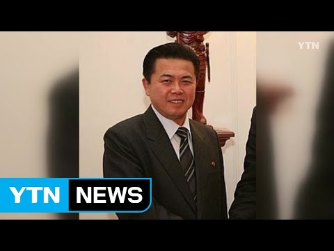 국정원 &amp;quot;김일성 아들 <strong>김평일</strong> 체코대사 귀국할 듯&amp;quot; / YTN