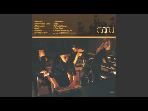 Accu — Dust Bunny (Praktika RMX)