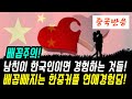 중국반응│한국인과 연애하면 생기는 일│중국인 남친과의 연애썰 푸는 중국인들│연애의 참견 한중 국제커플 편│중국어로[路]