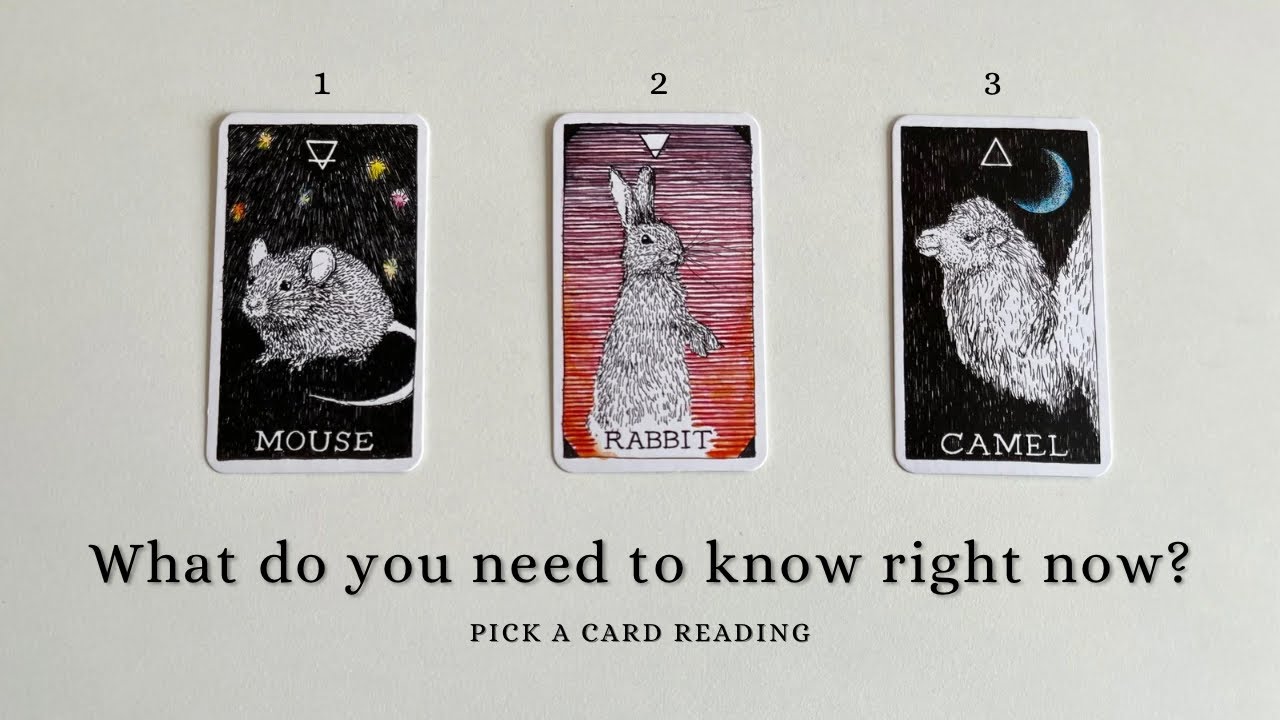 What Do You Need To Know Right Now? 👀🤯 Pick A Card Tarot Reading ...