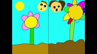Flower, explode, tornadoes